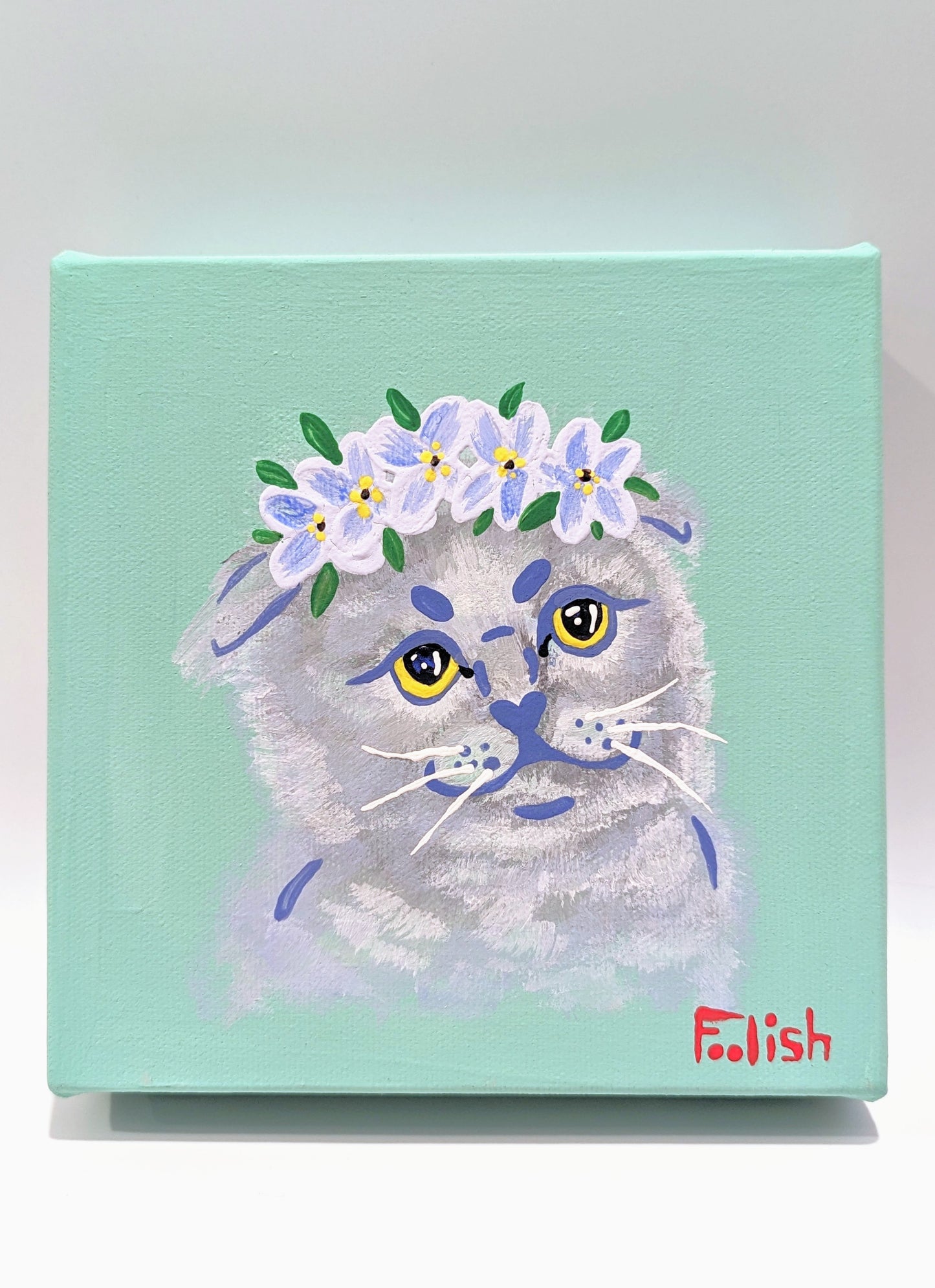 Forget-me-not Gato #4